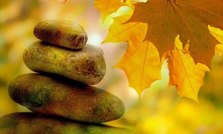 Lee más sobre el artículo Retiro Intensivo de Mindfulness y Bienestar en la Sierra de Aracena