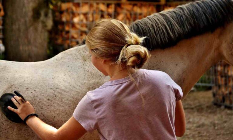 Lee más sobre el artículo Desconexión Total: Retiro con Caballos, Spa y Observación de Estrellas en la Sierra de Aracena