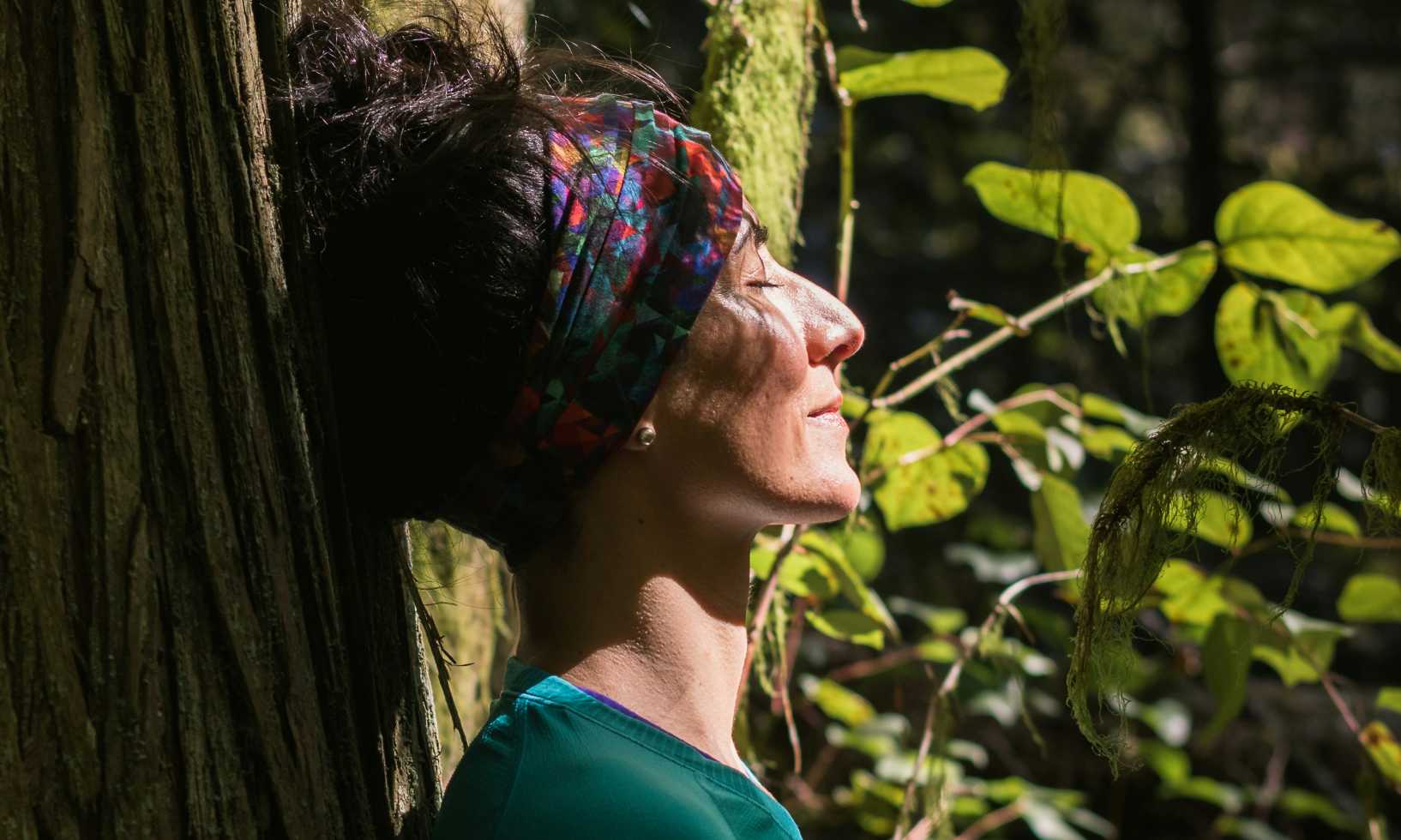En este momento estás viendo ¿Qué te espera en el próximo Retiro Intensivo de Mindfulness? La energía del otoño en la Sierra de Aracena