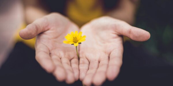 Retiros Intensivos de Mindfulness y Bienestar: transformar el enfoque de tu vida en un fin de semana