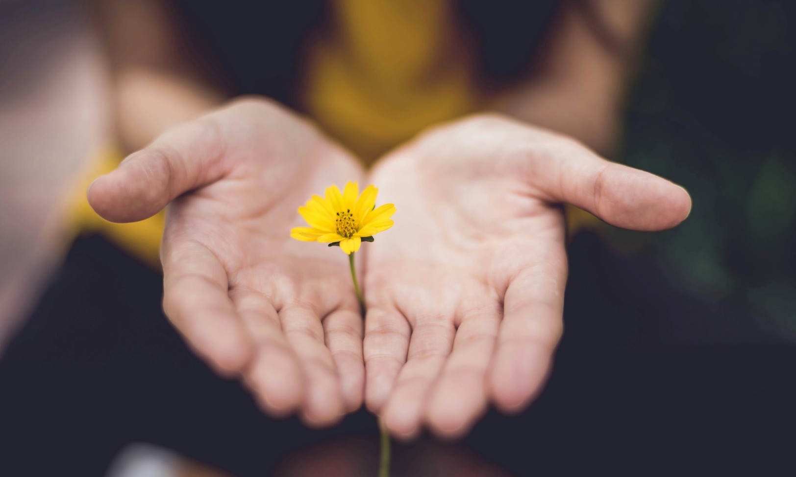 En este momento estás viendo Retiros Intensivos de Mindfulness y Bienestar: transformar el enfoque de tu vida en un fin de semana