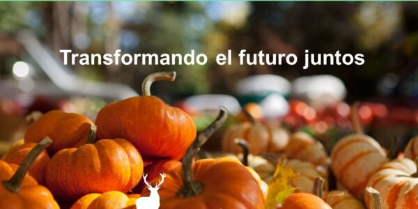 Nos unimos a Ecólatras: una comunidad que multiplica la sostenibilidad