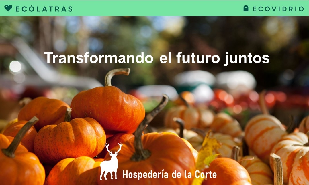 Lee más sobre el artículo Nos unimos a Ecólatras: una comunidad que multiplica la sostenibilidad