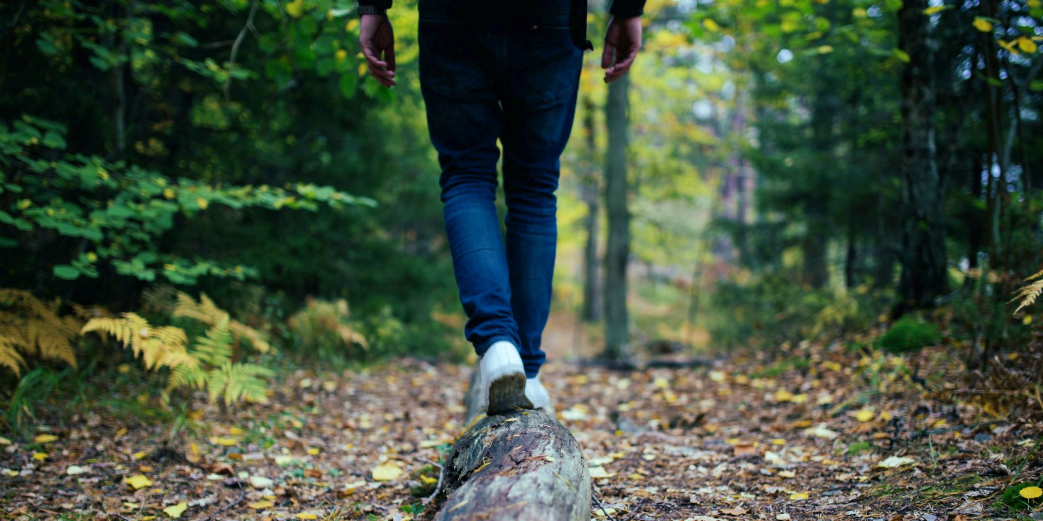 Caminar consciente por la Sierra de Aracena – Hospedería de la Corte Persona caminando lentamente sobre un tronco en un sendero del bosque en la Sierra de Aracena