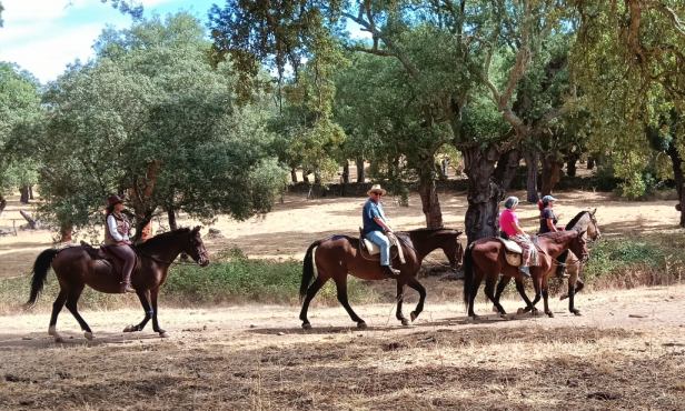 Team Building para empresas con caballos en la naturaleza | EVOLUCIÓN.CENTER Equipo de empresa realizando una actividad de team building con caballos en un entorno natural de la Sierra de Aracena, como parte de un programa corporativo de EVOLUCIÓN.CENTER