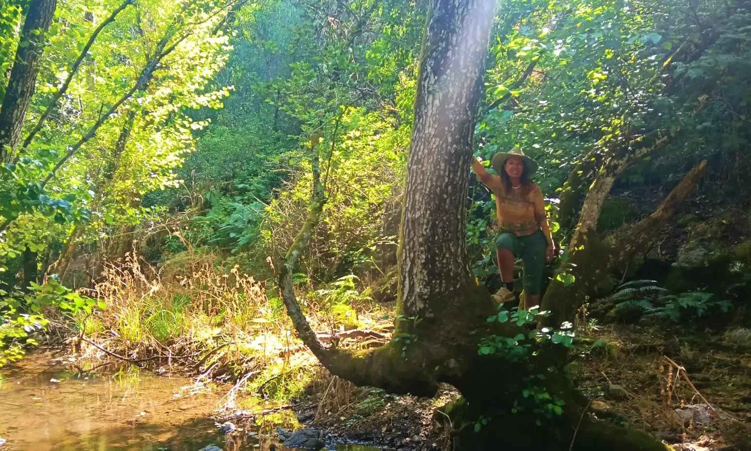 En este momento estás viendo Naturaleza y mente: cómo los bosques equilibran tu energía