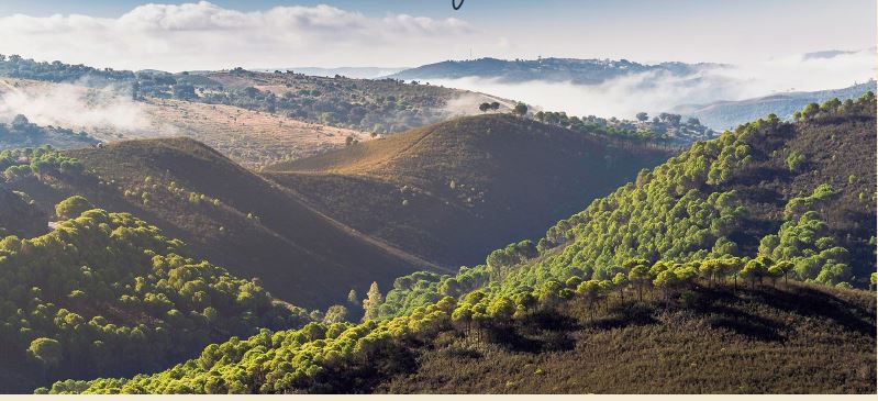 Retiro Cuerpo, Mente y Espíritu