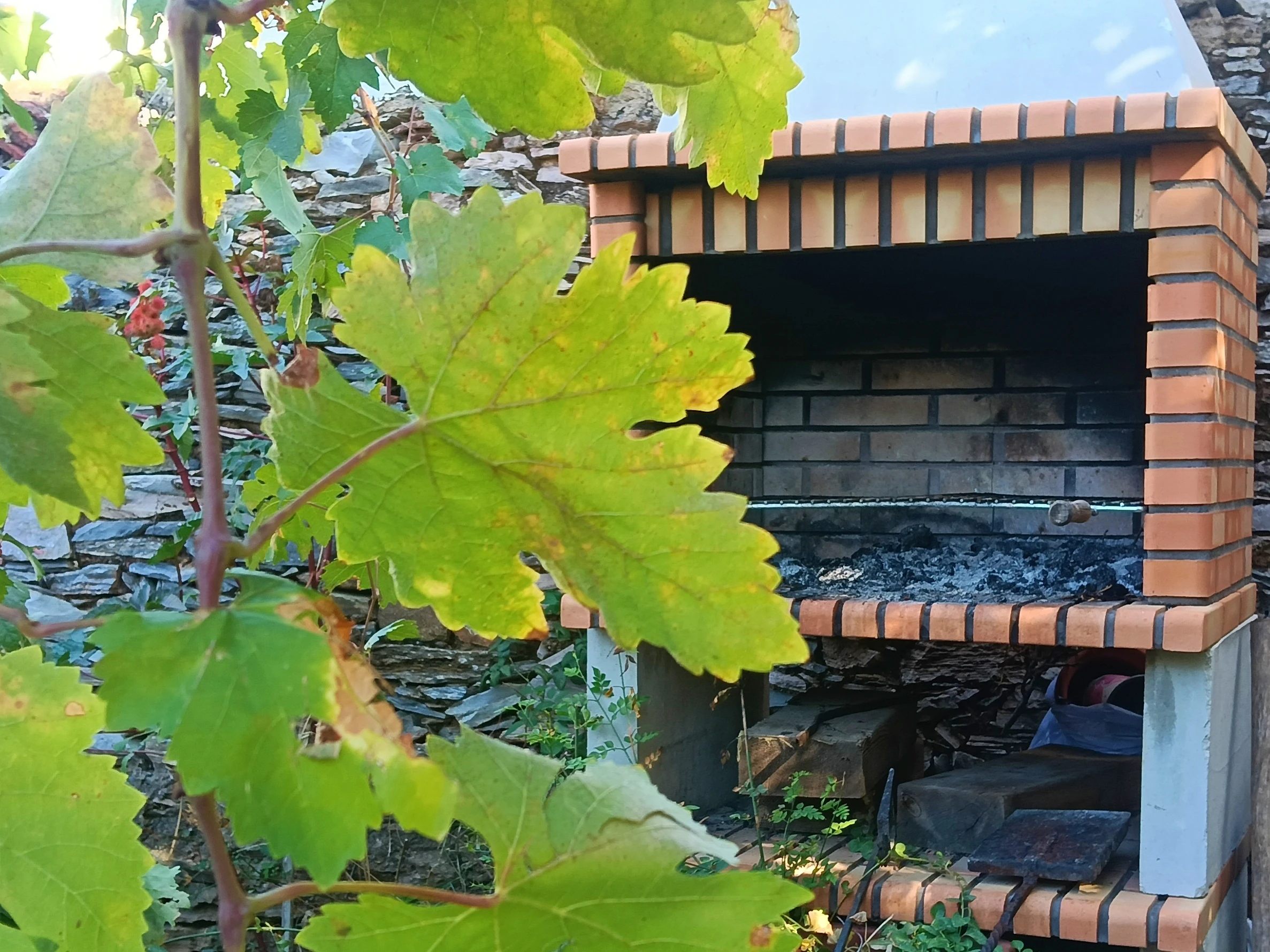 Parra y barbacoa en el jardín de Hospedería de la Corte